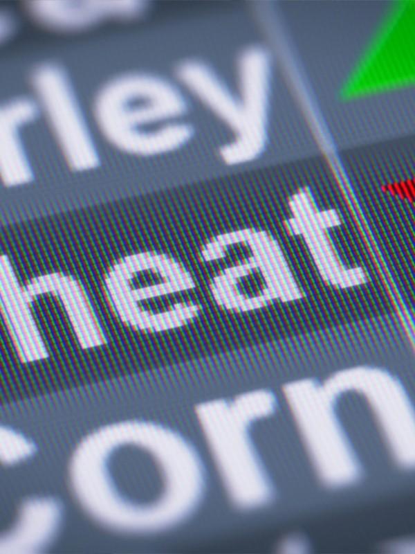 My Interesting Job: Grain Trader