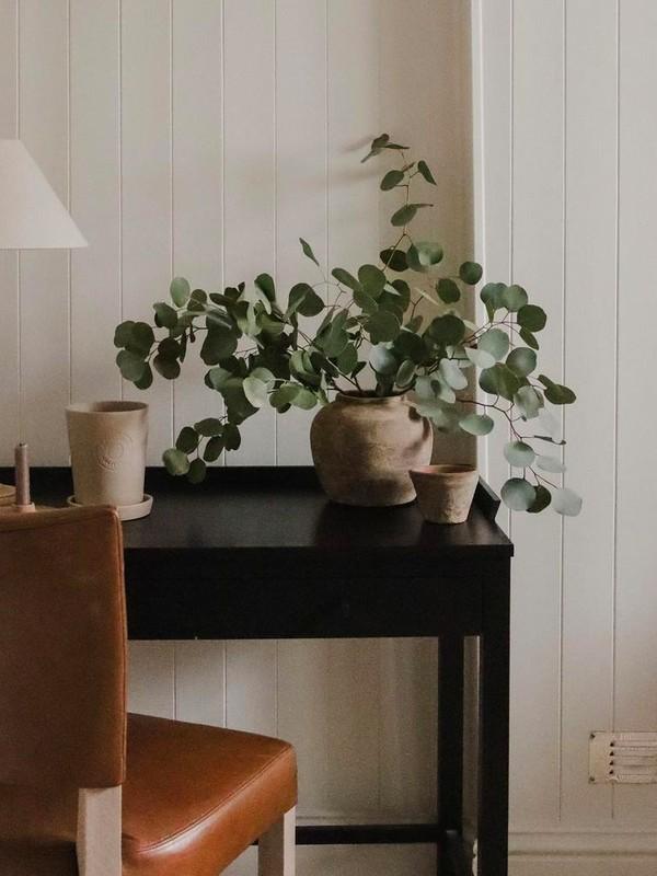 Interior Dos And Dont's With Toby's Home